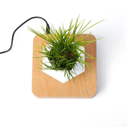 Maceta de Bonsái de Aire Levitante con Rotación – Suspensión Magnética | Maceta Flotante Decorativa (Sin Plantas)