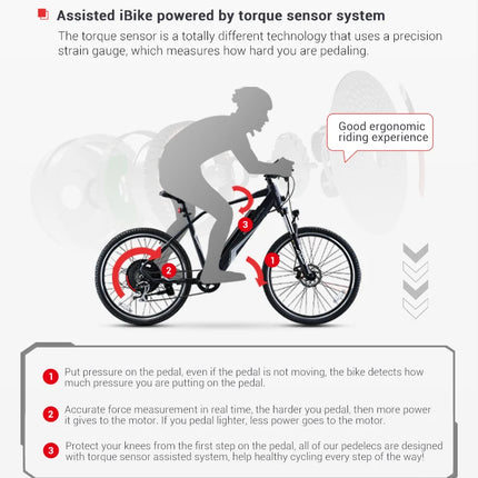 Bicicleta eléctrica de montaña para adultos con batería nueva de alto rendimiento a la venta