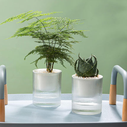 Maceta de flores perezosa, maceta hidropónica automática absorbente de agua, maceta de plástico transparente de doble capa, maceta de riego para el hogar