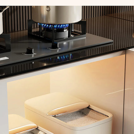 10KG Rice Storage Box Home with Lid Insect Proof Moisture Proof Rice Box Grain Sealed Jar Kitchen Container Storing Dry Grain