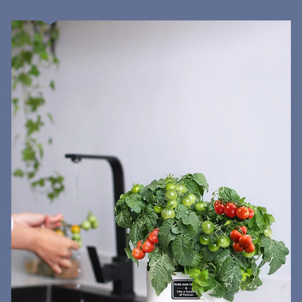 Nuevo Maceta de planta de autorriego, maceta de cuerda de algodón autoabsorbente de plástico magnético para maceta perezosa de dos pisos, suministros de jardín