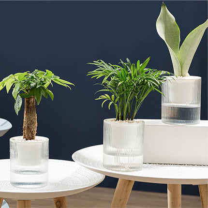 Maceta de flores perezosa, maceta hidropónica automática absorbente de agua, maceta de plástico transparente de doble capa, maceta de riego para el hogar