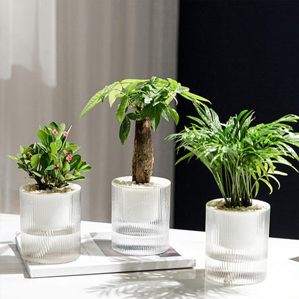 Maceta de flores perezosa, maceta hidropónica automática absorbente de agua, maceta de plástico transparente de doble capa, maceta de riego para el hogar